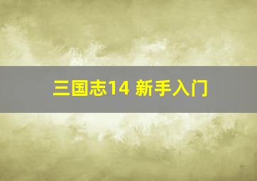 三国志14 新手入门